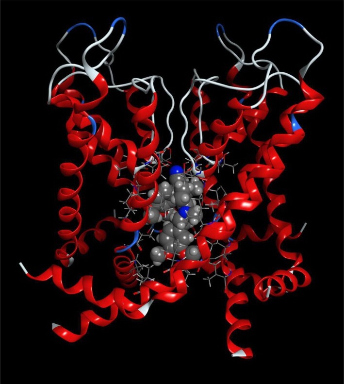 Cell Physiol Biochem