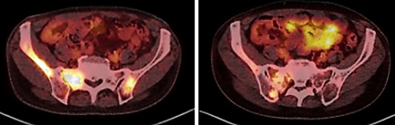 Fig. 8