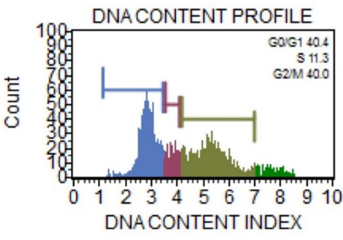 Fig. 12
